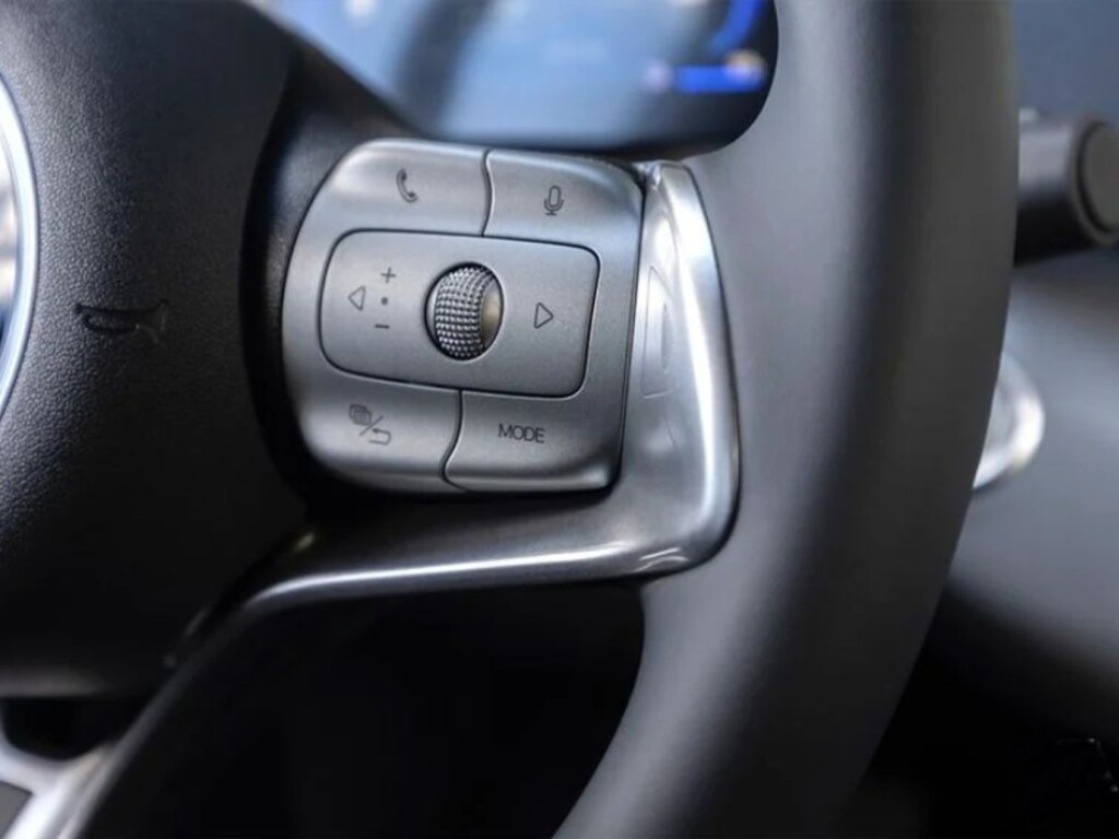 Foto 11 del anuncio BYD Dolphin Surf Comfort  de Ocasión en Madrid