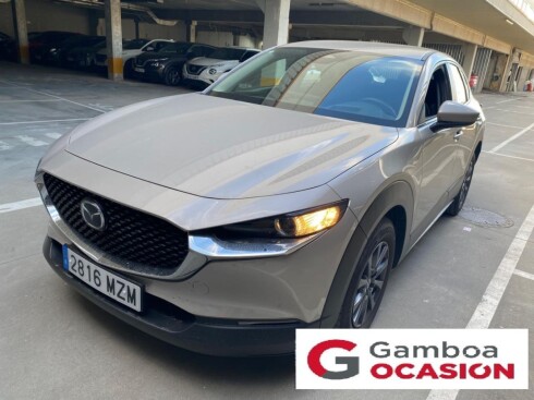 Imagen placeholder del coche